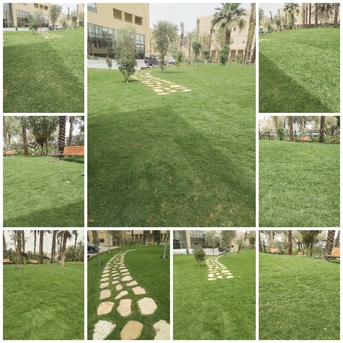 Riyadh, Farm/Garden, Landscaping - Gardening (Design, Installation And Maintenance) تنسيق الحدائق