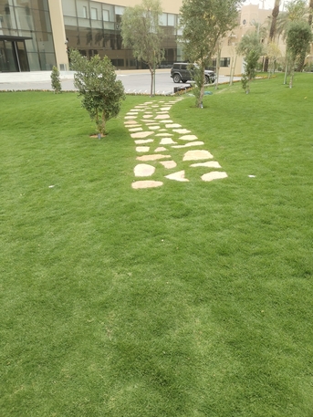 Riyadh, Farm/Garden, Landscaping - Gardening (Design, Installation And Maintenance) تنسيق الحدائق