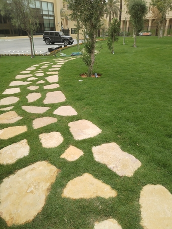 Riyadh, Farm/Garden, Landscaping - Gardening (Design, Installation And Maintenance) تنسيق الحدائق