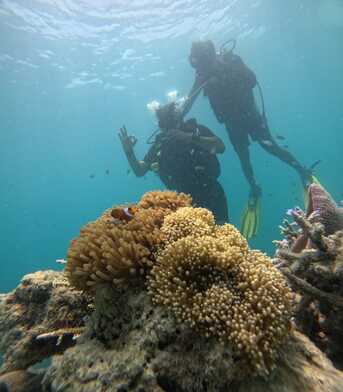 Mumbai, Travel, Andaman And Nicobar Islands Tour Packages