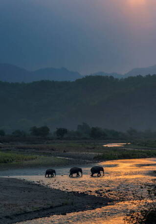 New Delhi, Travel, Corbett National Park Package 2 Nights 3 Days INR:6900/-