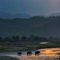 Corbett National Park Package 2 Nights 3 Days INR:6900/-