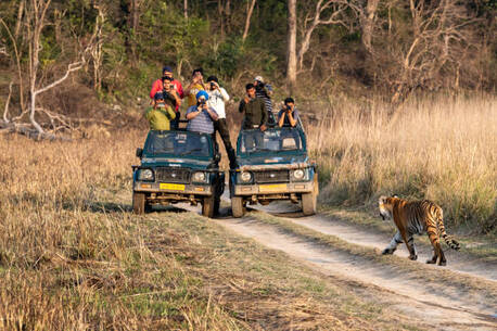 New Delhi, Travel, Corbett National Park Package 2 Nights 3 Days INR:6900/-
