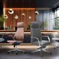 Luxury Office Chairs In Delhi