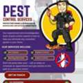 Pest Control Services In Bangalore | Safe & Effective Solutions