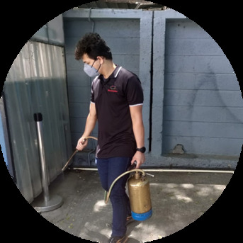 Bangalore, Pest Control, Pest Control Services In Bangalore | Safe & Effective Solutions