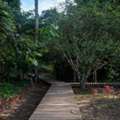 4-Day Chuncho Macaw Clay Lick Tour | Amazon Adventure With Tree House Inn