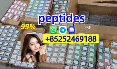 Tampa Bay, Health & Beauty Items, USD 20,  Hot Sale Freeze-Dried Peptide Peptides  Powder