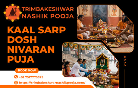 Mumbai, Business, Best Pandit In Trimbakeshwar For Kaal Sarp Dosh Nivaran Puja