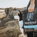 Salmon Dog Food For Skin And Coat