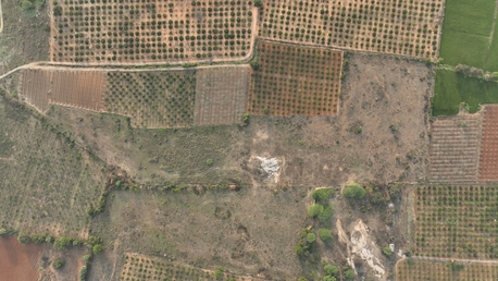 Nalgonda, Agricultural Land, INR 30000000,  9 Acre,  A Well-maintained 9 Acres Of Fertile Agricultural Land Is Available For Sale, Offering An