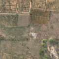 INR 30000000,  9 Acre,  A Well-maintained 9 Acres Of Fertile Agricultural Land Is Available For Sale, Offering An