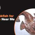 Best Fish Market Near Me | Tasman Star Seafood