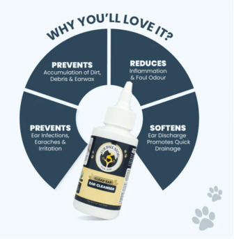 Gurgaon, Pet Sitting, Listen To Their Comfort: The Power Of Clear Ear