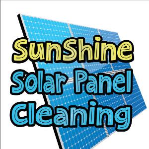 New York, Business, Sunshine Solar Panel Cleaning