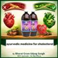 INR 660,  Best Ayurvedic Medicine For Cholesterol By Bharat Gram Udyog Sangh