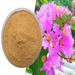 Mumbai, Health & Beauty Items, Cissus Extract Manufacturers In India