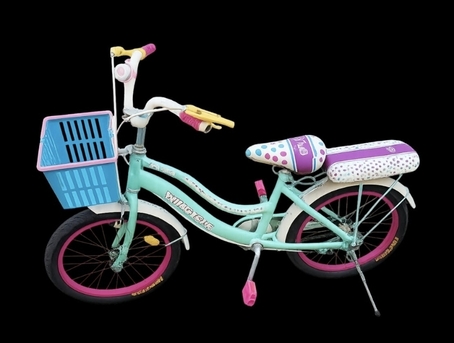 Jeddah, Bicycles, SAR 80,  Bicycle SR 80, Left Hand Brake Broken