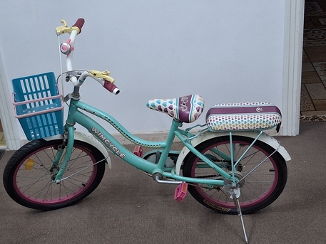 Jeddah, Bicycles, SAR 80,  Bicycle SR 80, Left Hand Brake Broken