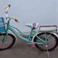 SAR 80,  Bicycle SR 80, Left Hand Brake Broken