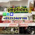 USD 20,  TOP Quality Of Tirzepatide CAS 2023788-19-2  In Stock Factory And Suppliers