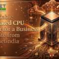 Affordable Dedicated CPU Server For A Business Website From Hostnetindia