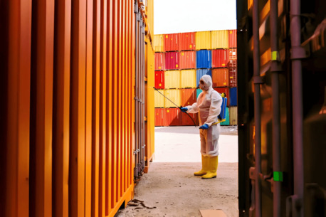 Ahmedabad, Pest Control, Universal Pest Control: Trusted Pest Management & Fumigation Services In Gujarat