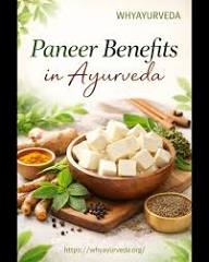 New Delhi, Health, Paneer In Ayurveda: Benefits, Dosha Effects & Best Way To Eat It