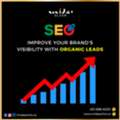 Winnipeg SEO Agency