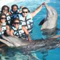 Travel Agents For Flight Booking Queens