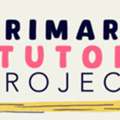 Primary Tutor Project