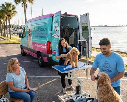 New York, Pet Sitting, Mobile Dog Grooming In Dunedin That Comes To Your Door