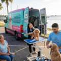 Mobile Dog Grooming In Dunedin That Comes To Your Door