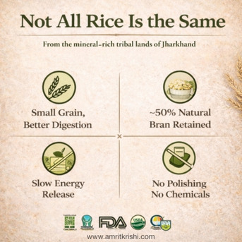 Dwarka, Food, Bhutki Rice Available Online India