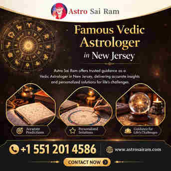 New York, Counseling, Famous Vedic Astrologer In New Jersey