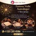Famous Vedic Astrologer In New Jersey