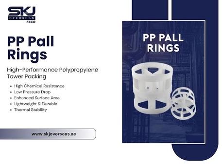 Dubai, Business, PP Pall Ring Supplier: Cost-Effective Tower Packing