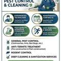 Professional Pest Control & Cleaning Services &ndash; Sapale Pest Control