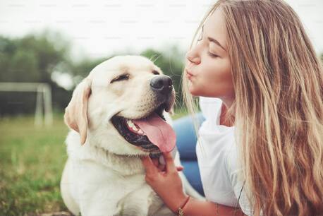 New York, Pet Sitting, Reliable Dog Walking In Franklin &ndash; Trusted Local Pet Care