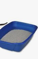 Riyadh, Pet Supplies, SAR 180,  White Cat For Sale