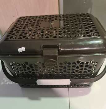 Manama, Pet Adoption, Offering Free Cat Adoption