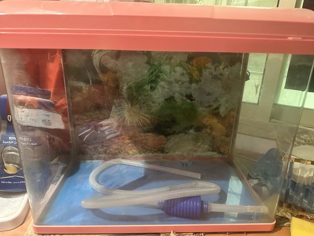 Dammam, Household Items, SAR 200,  Aquarium