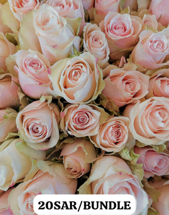 Jeddah, Farm & Garden, SAR 17,  Natural Flowers