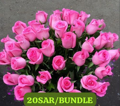 Jeddah, Farm & Garden, SAR 17,  Natural Flowers