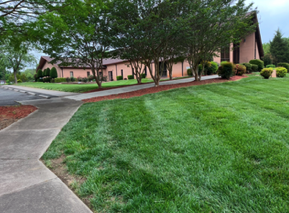 New York, Business, Major Jones Lawn Care | Lawn Care Service | Landscaper Charlotte, NC