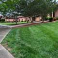Major Jones Lawn Care | Lawn Care Service | Landscaper Charlotte, NC