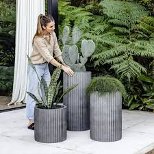 Mumbai, Collectibles, Stylish & Durable Large Plant Pots For Outdoor Spaces