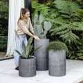 Stylish & Durable Large Plant Pots For Outdoor Spaces