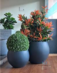 Mumbai, Collectibles, Durable & Stylish FRP Planters For Modern Spaces