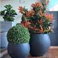Durable & Stylish FRP Planters For Modern Spaces